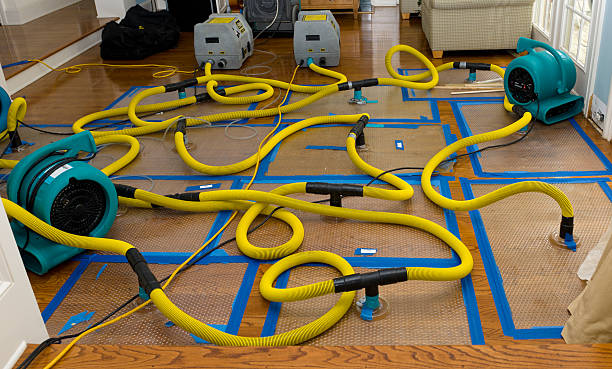 Professional Burst Pipe Water Damage technician working in Vanlue, OH